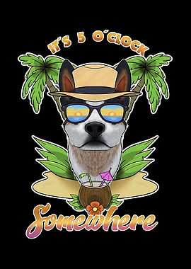 Blue Heeler Drinking Beach