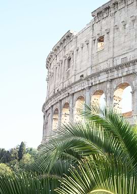 The Colosseum in Rome Palm