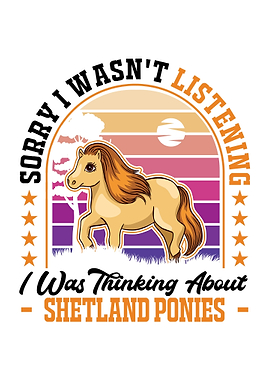 Shetland Pony Shetty