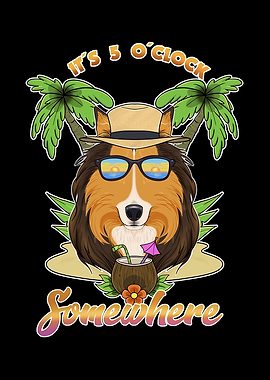 Collie Drinking Beach