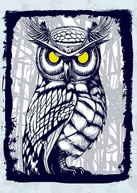 Owl and Owls