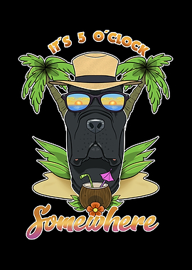 Cane Corso Drinking Beach