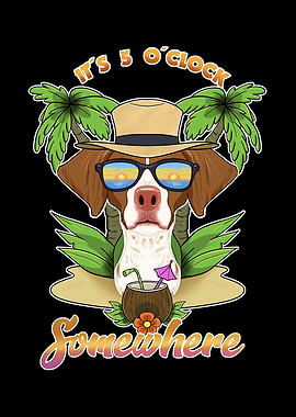 Brittany Drinking Beach