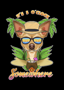 Chihuahua Drinking Beach