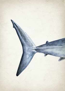 Mako Shark Art Part 3