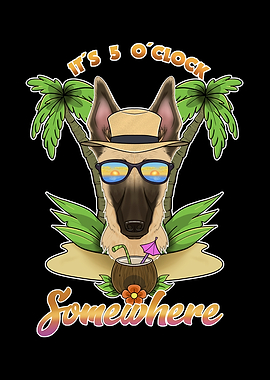 Malinois Drinking Beach