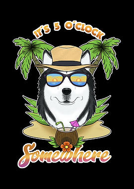 Husky Drinking Beach