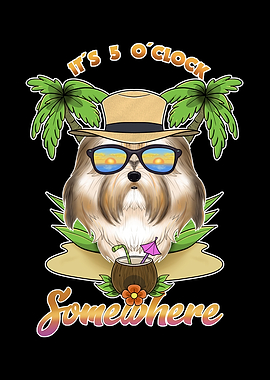 Havanese Drinking Beach