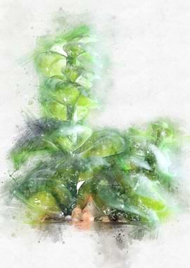 Succulent Plant watercolor