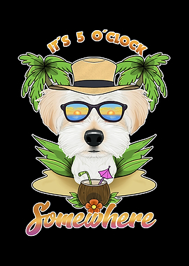 Maltese Drinking Beach