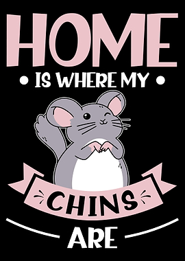 Home Chinchilla Owner