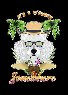 Poodle Drinking Beach