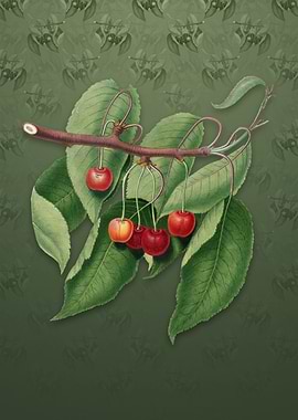 Cherry on Lunar Green