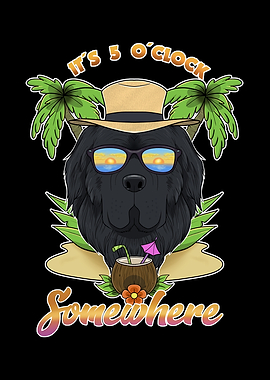 Newfoundland Drinking