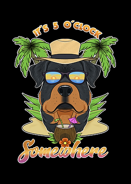 Rottweiler Drinking Beach