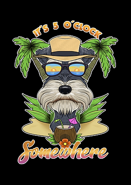 Miniature Schnauzer Beach