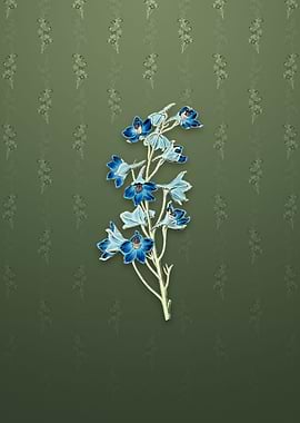 Shewy Delphinium Flower
