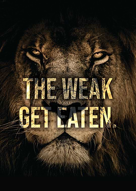 The Weak Get Eaten