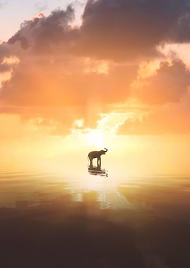 Mirror of Elephant
