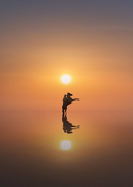 Mirror of Spirit