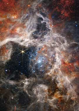 Tarantula Nebula JWST