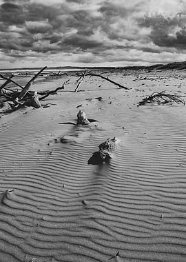 Patterns in the Sand
