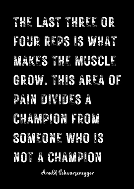 Arnold Schwarzenegger