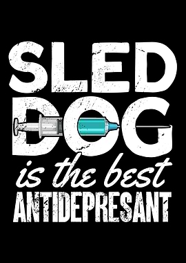Sled Dog Is The Best Antid