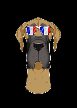 Great Dane France