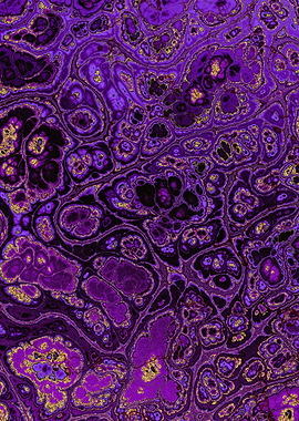 Luxury Purple Marble 06