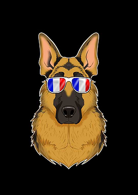 German Shepherd France