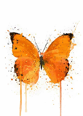 Butterfly Tangerine Dream