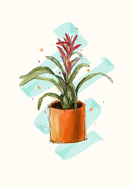 Bromeliad sketch art