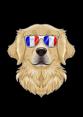 Golden Retriever France