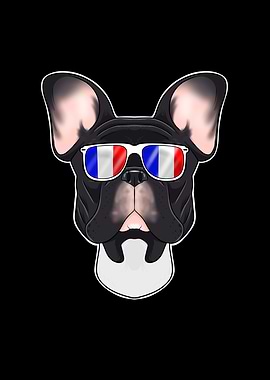 French Bulldog France