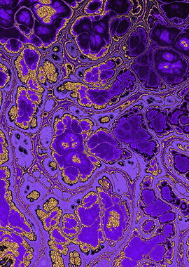 Luxury Purple Marble 08