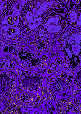 Luxury Purple Marble 13