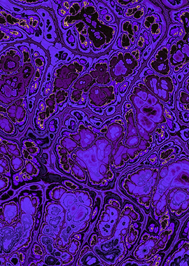 Luxury Purple Marble 12