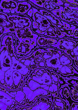 Luxury Purple Marble 14