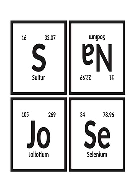 Elements of San Jose City