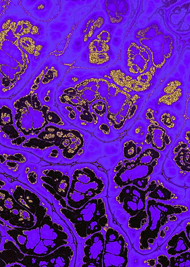 Luxury Purple Marble 15