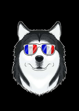 Husky France Sunglasses