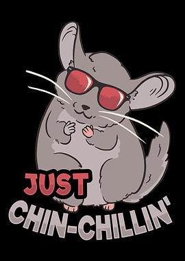 Chinchilla Owner