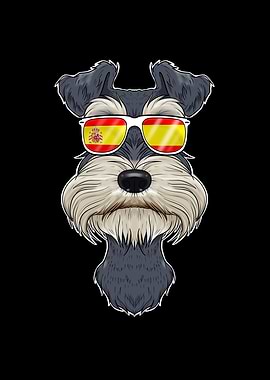 Miniature Schnauzer Spain