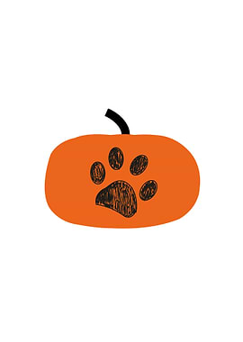 Pumpkin with doodle paw