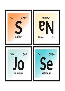 Elements of San Jose City