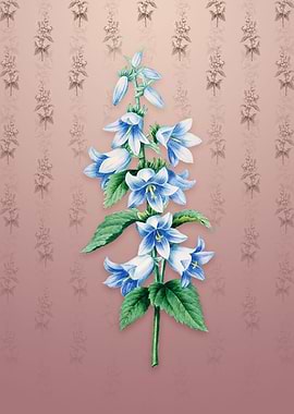 Vintage Bellflowers