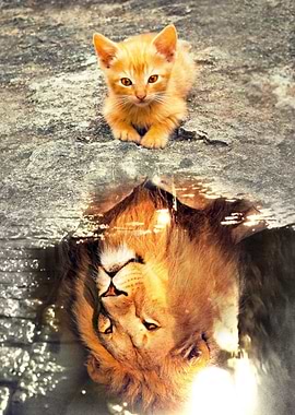Cat reflect the Lion