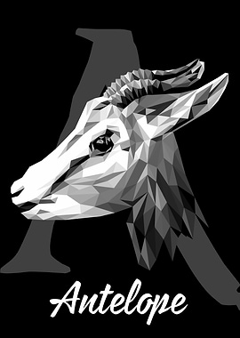 Antelope