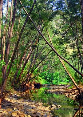 Anawangin in Zambales